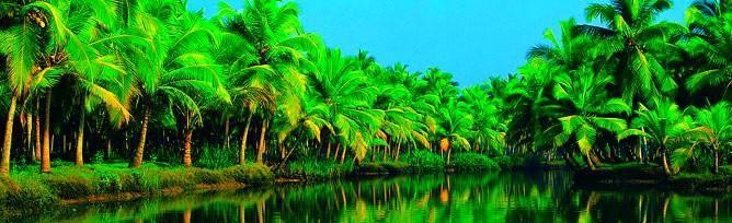 Chaandhni Lake View Hotell Alappuzha Eksteriør bilde